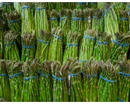  asparagus